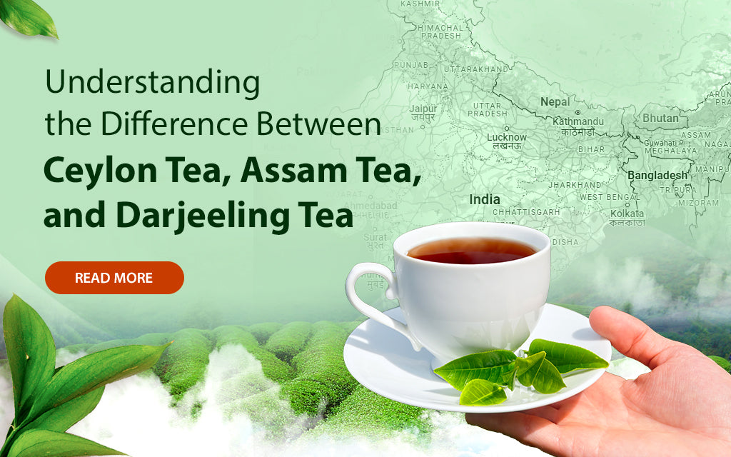 Understanding the Difference Between Ceylon Tea, Assam Tea, and Darjeeling Tea Golden Tips Tea