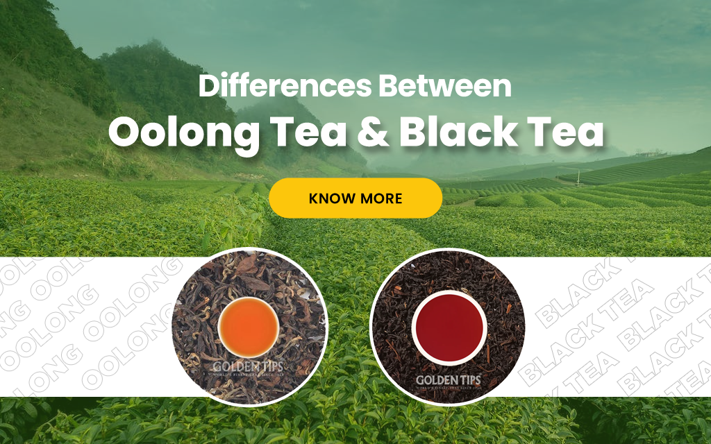 Explore the differences Between Oolong Tea And Black Tea Golden Tips