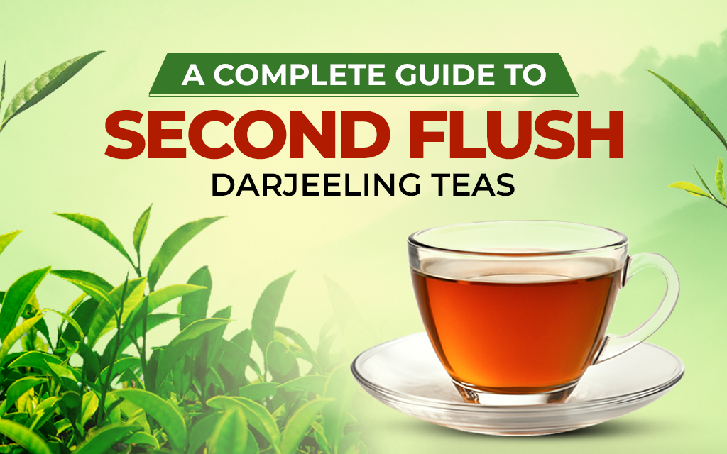 A Complete Guide to Second Flush Darjeeling Teas