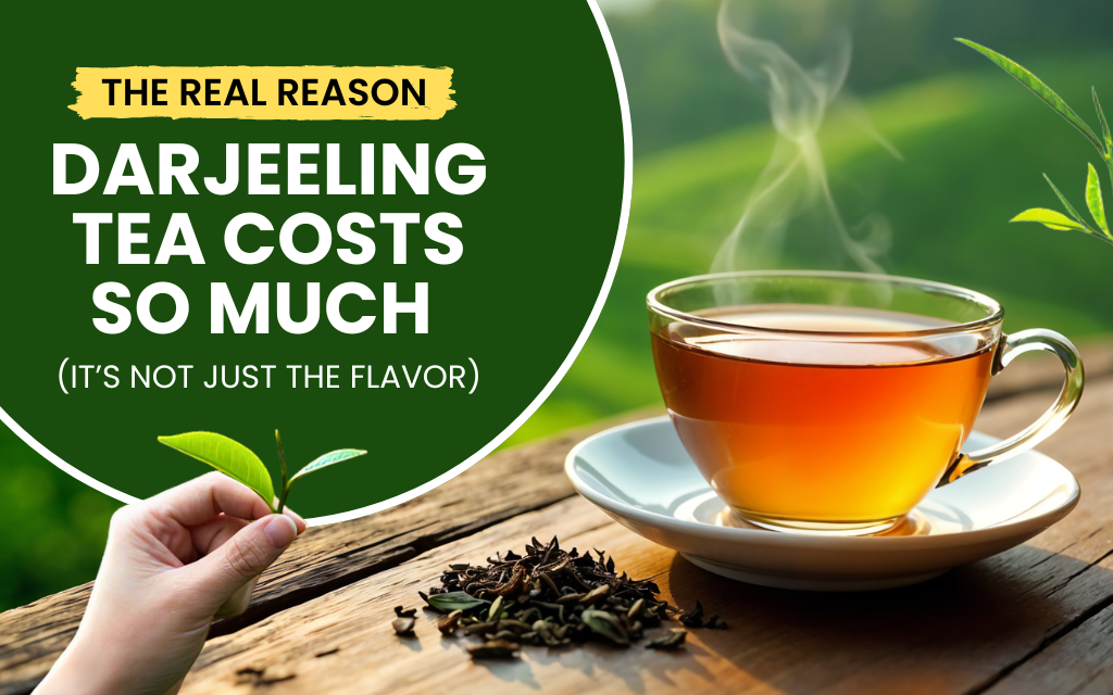 The Real Reason Darjeeling Tea Costs So Much (It’s Not Just the Flavor)