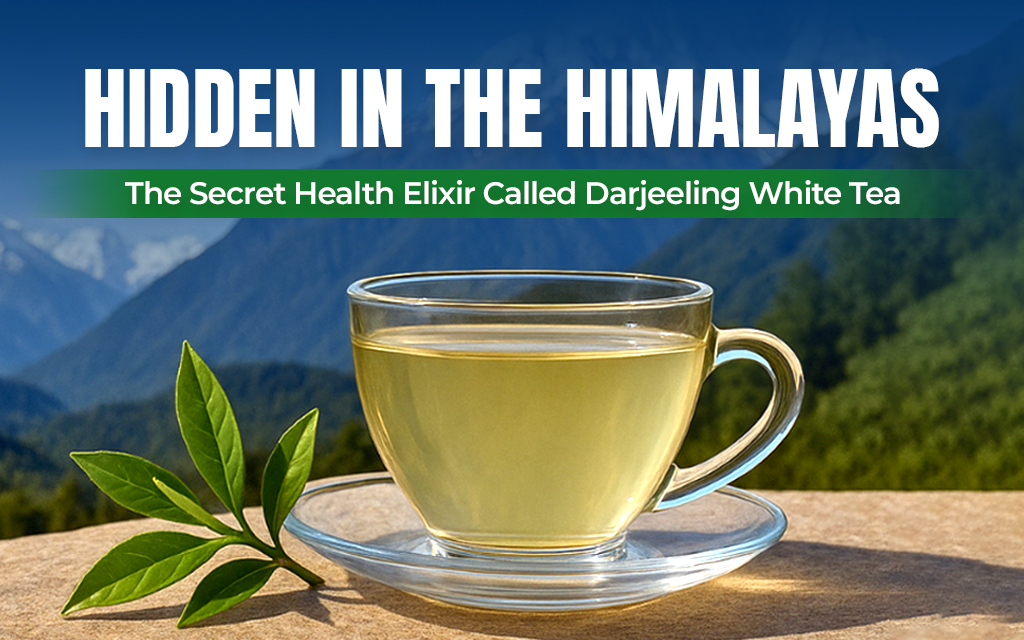 Hidden in the Himalayas: The Secret Health Elixir Called Darjeeling White Tea