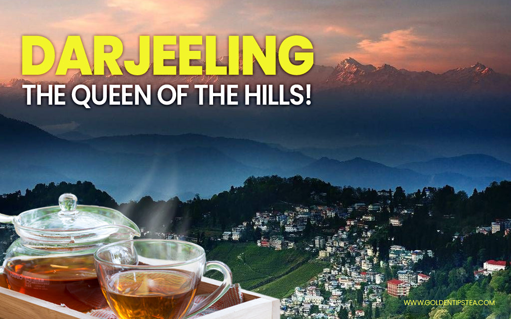 darjeeling the queen of the hills