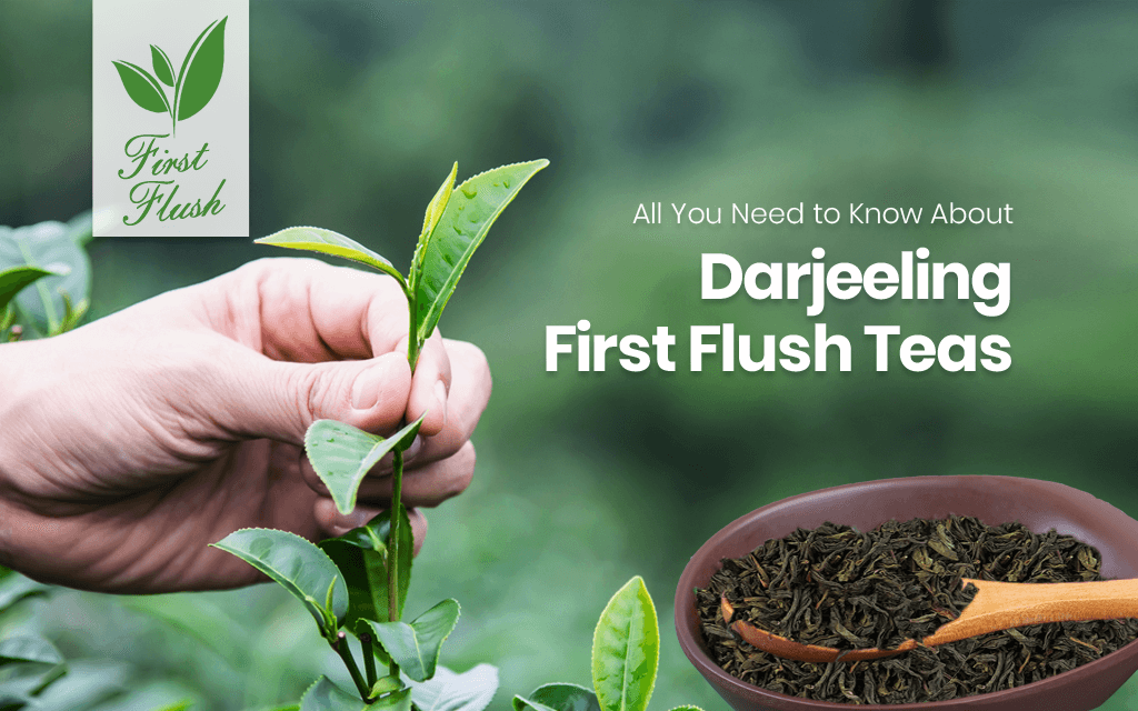 Darjeeling First Flush Tea