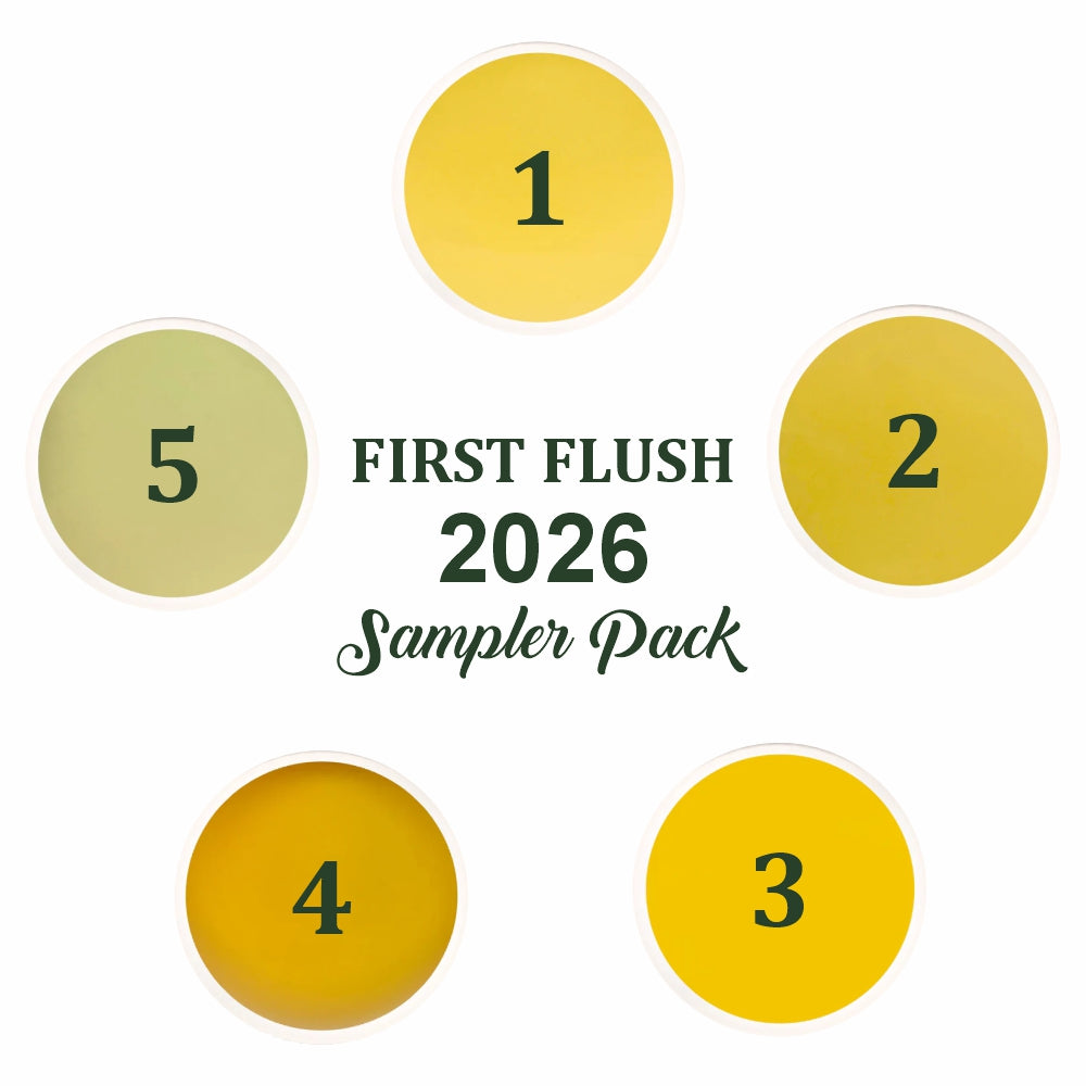Darjeeling First Flush 2026 Sampler