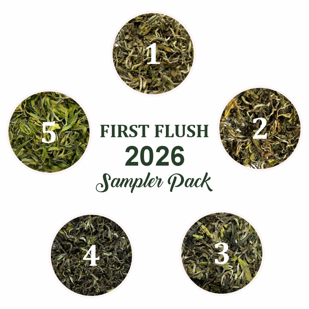 Darjeeling First Flush 2026 Sampler