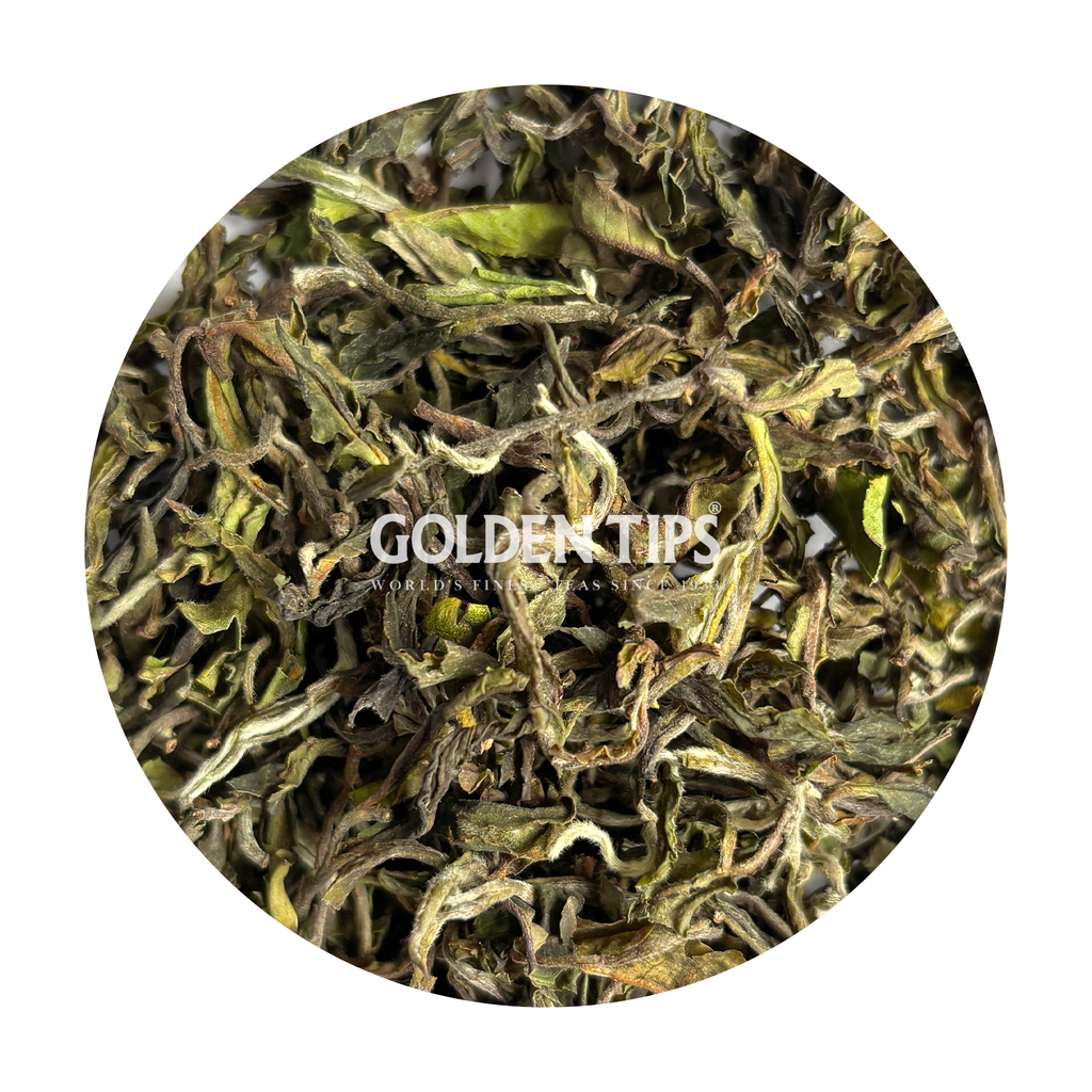 Giddapahar - Spring Hope Darjeeling Tea First Flush 2026