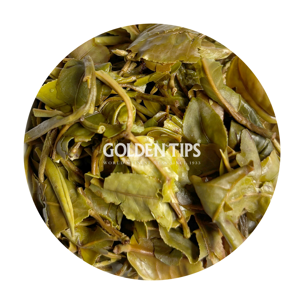 Giddapahar - Spring Hope Darjeeling Tea First Flush 2026