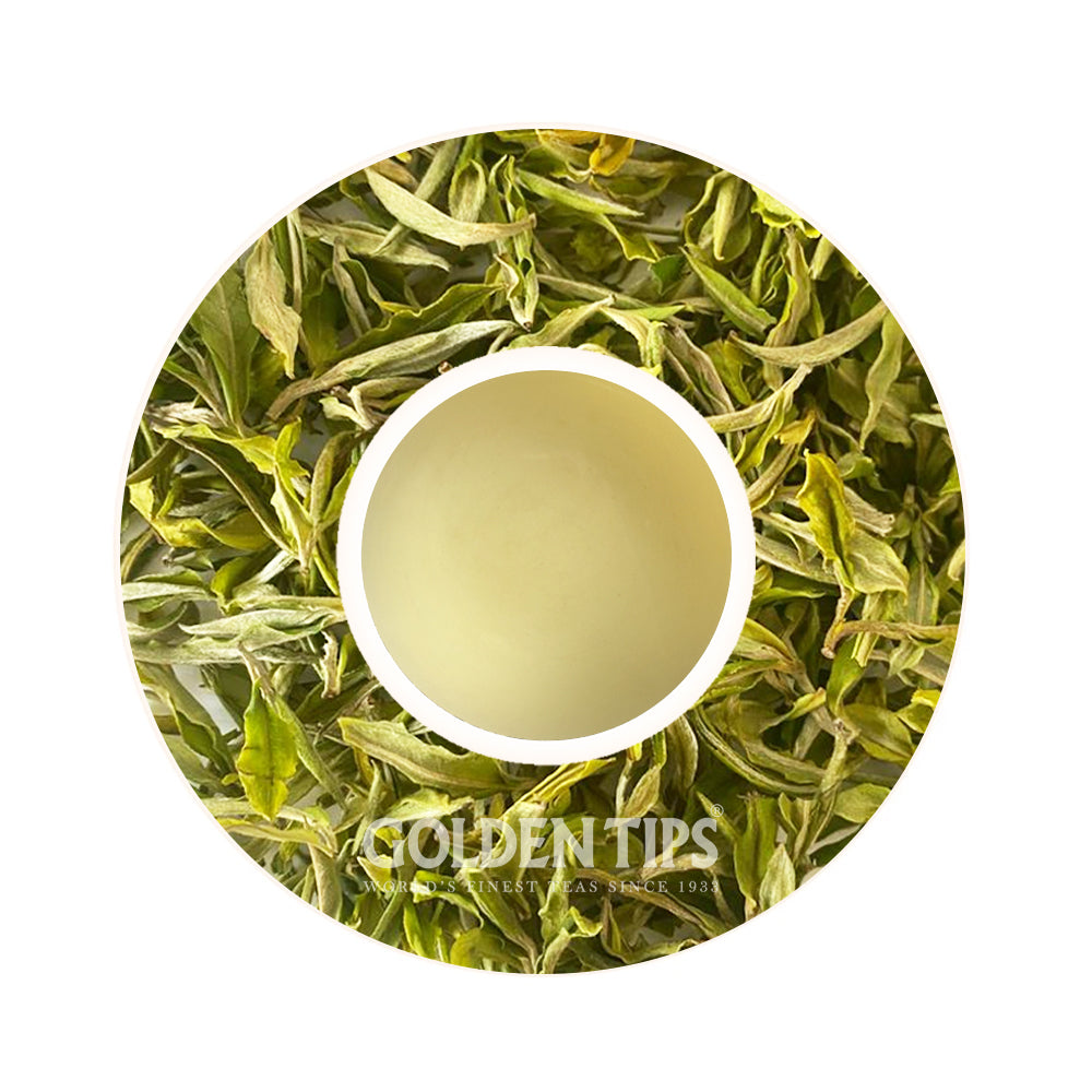 Arya - Spring Pearl Organic Darjeeling White Tea First Flush 2025