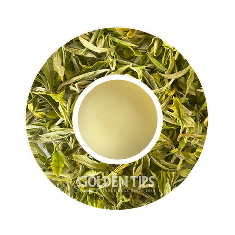 Arya - Spring Pearl Organic Darjeeling White Tea First Flush 2025