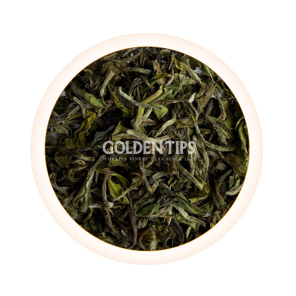 Spring Elegance Darjeeling Black Tea First Flush 2025