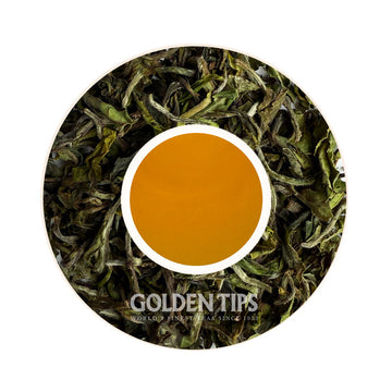 Spring Elegance Darjeeling Black Tea First Flush 2025