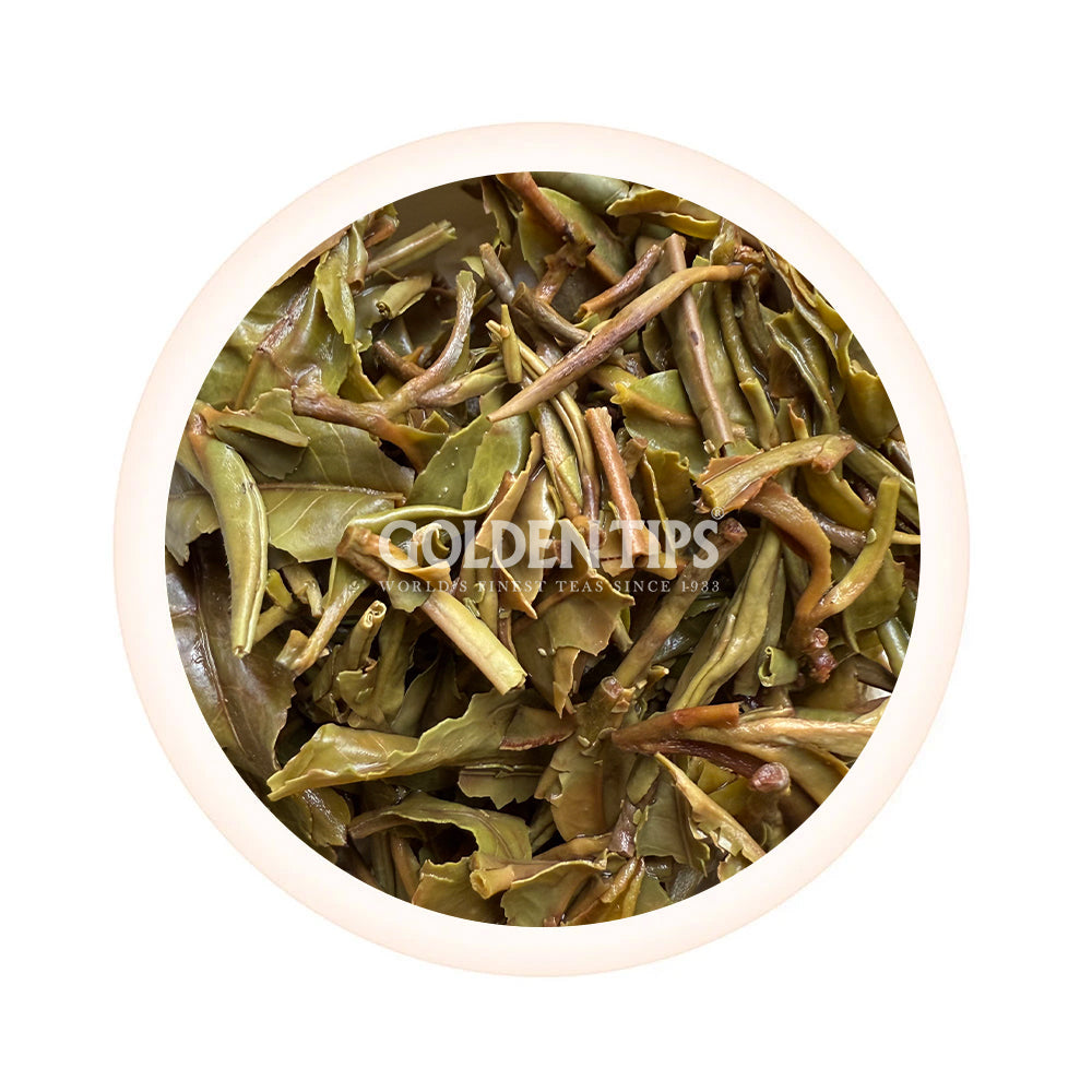Jungpana - Spring Passion Organic Darjeeling Black Tea First Flush 2025