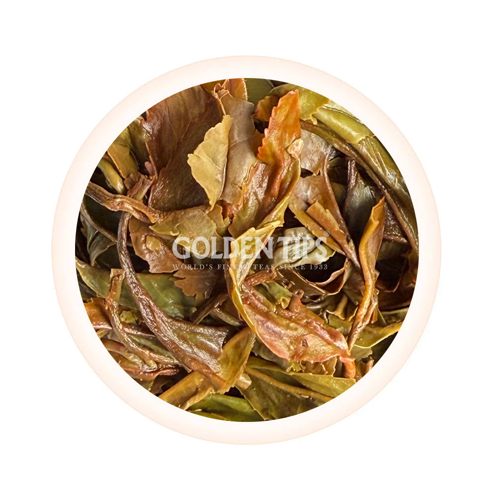 Arya - Ruby Classic Organic Darjeeling Black Tea First Flush 2025