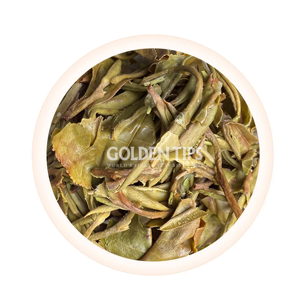 Badamtam - White Pride Organic Darjeeling White Tea First Flush 2026
