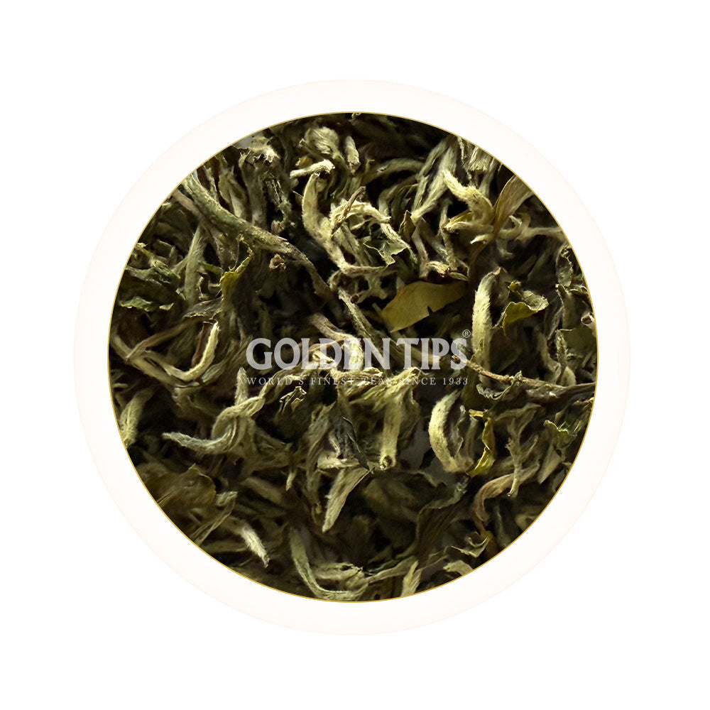 Badamtam - White Pride Organic Darjeeling White Tea First Flush 2026