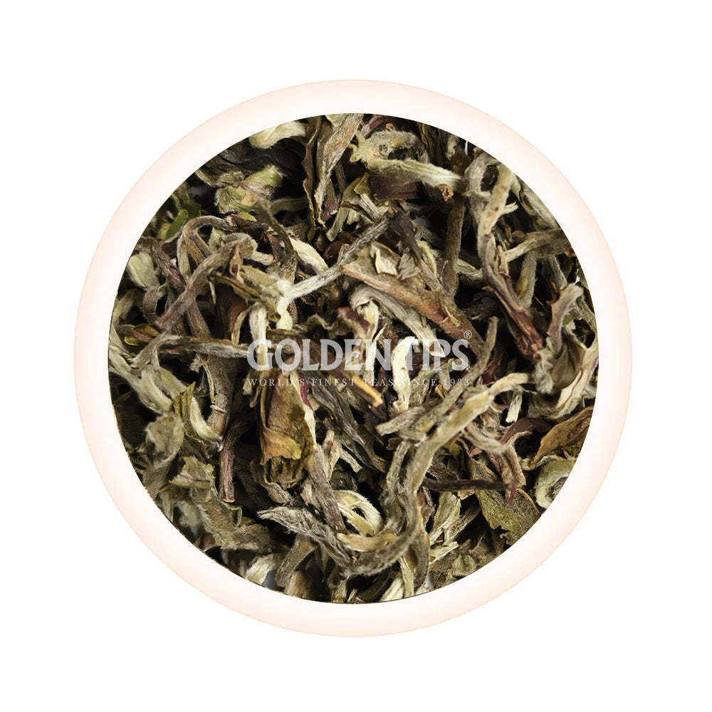 Gielle - Moonlight Oomph Darjeeling White Tea Second Flush 2025