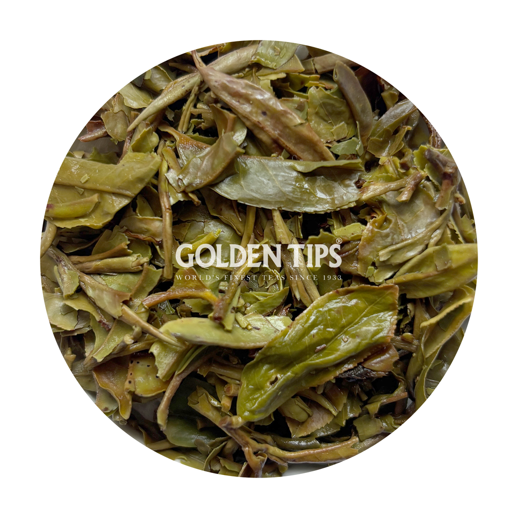Jungpana - Spring Passion Darjeeling Tea First Flush 2026