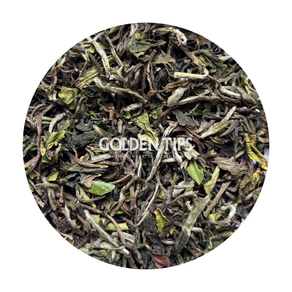 Mim - Verdant Symphony Organic Darjeeling Tea First Flush 2026