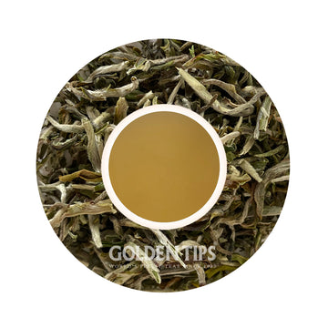 Namring Upper - Spring Magnificence Darjeeling Black Tea First Flush 2025