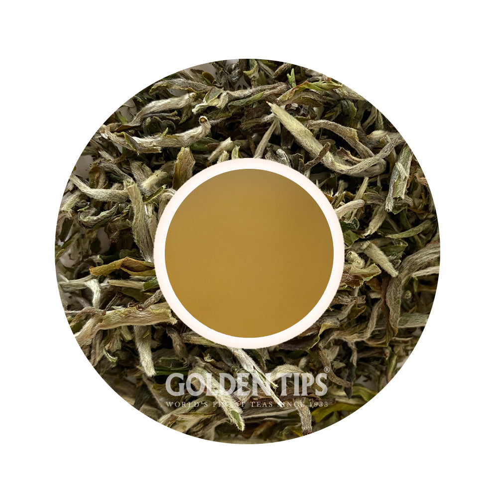 Namring Upper - Spring Magnificence Darjeeling Black Tea First Flush 2025