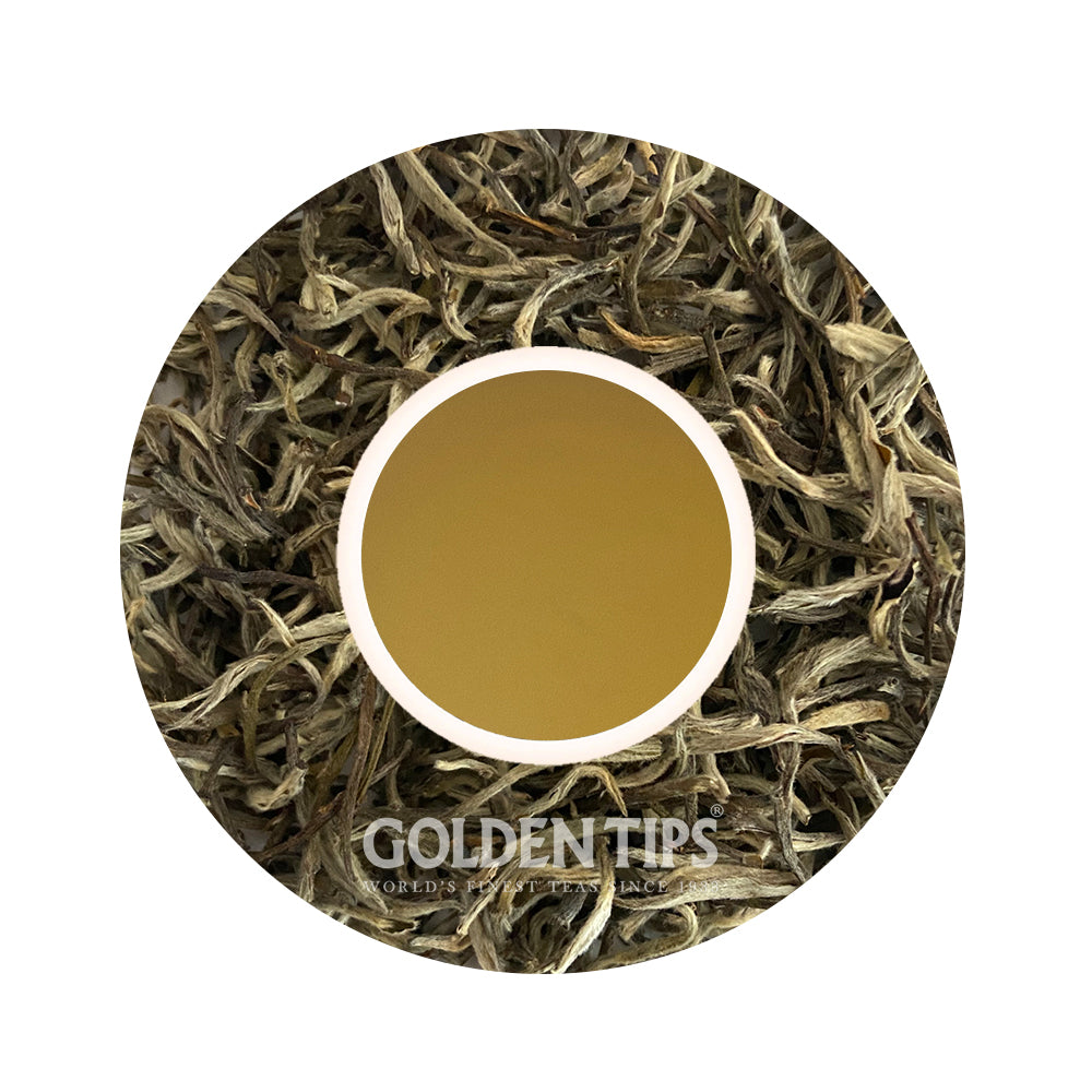 Silver Needle Organic Darjeeling White Tea Second Flush 2025