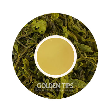 Green Queen Organic Nilgiri Tea First Flush 2025