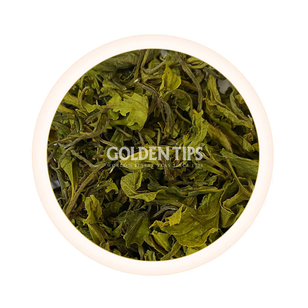 Green Queen Organic Nilgiri Tea First Flush 2025