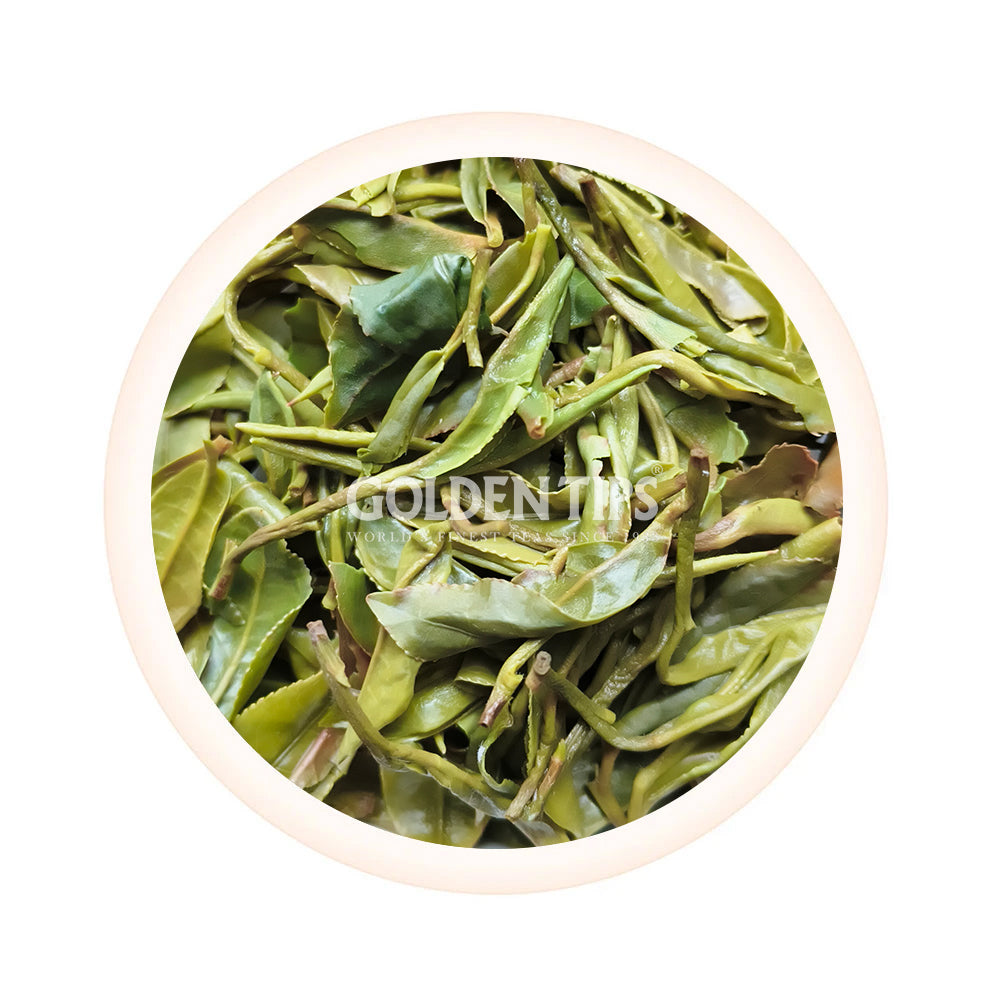 Wah - Mountain Mist Magnus Kangra Black Tea First Flush 2025