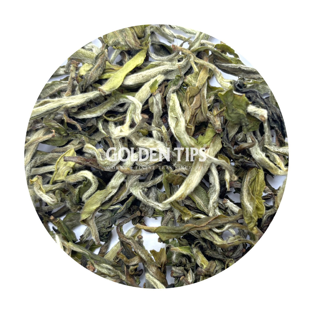 Mim - Spring Gaiety Darjeeling Black Tea First Flush 2026