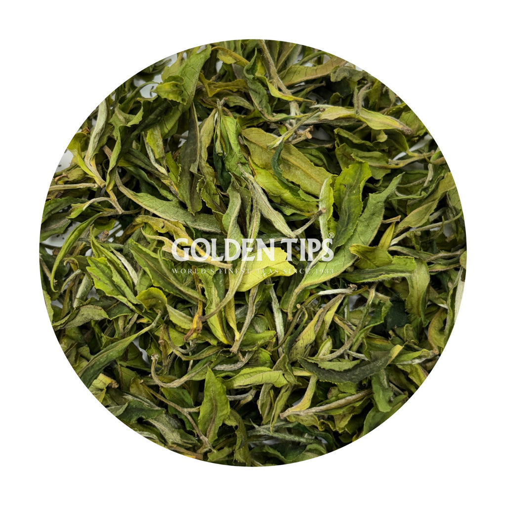 Arya - Spring Pearl Organic Darjeeling White Tea First Flush 2026