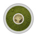 Mint Matcha Japanese Green Tea - Golden Tips Tea (India)