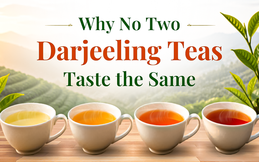 Why No Two Darjeeling Teas Taste the Same