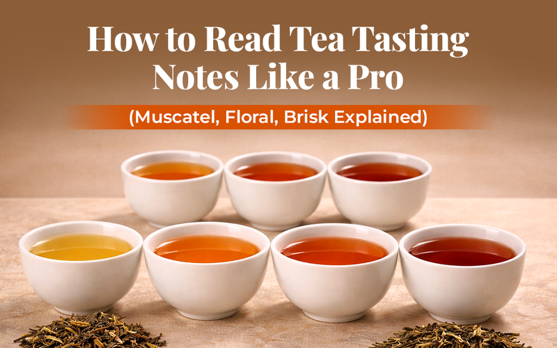 How to Read Tea Tasting Notes Like a Pro (Muscatel, Floral, Brisk Explained)