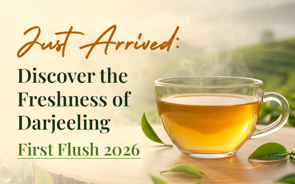 Just Arrived: Discover the Freshness of Darjeeling First Flush 2026