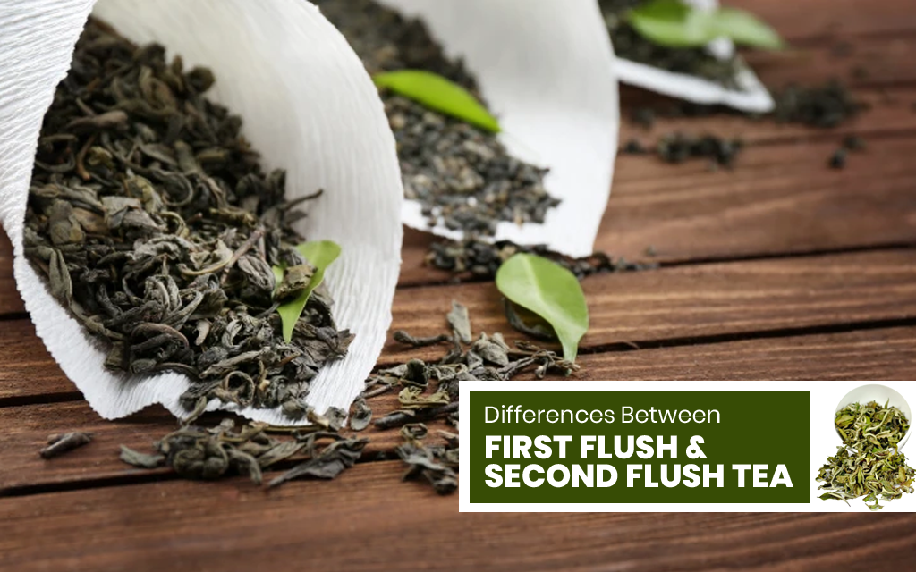 Differences Between First Flush and Second Flush Tea