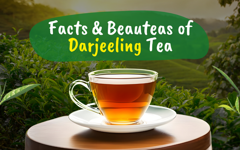 Darjeeling First Flush Tea