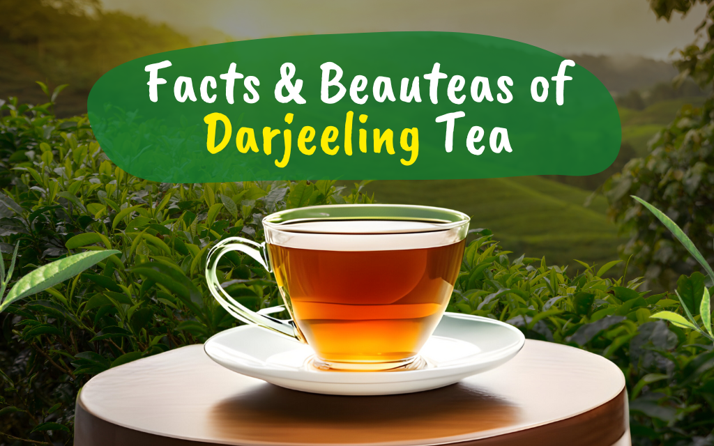 Darjeeling First Flush Tea