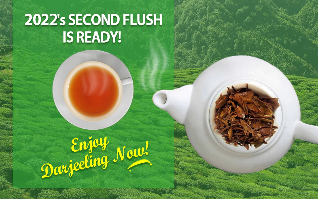Announcing Darjeeling Second Flush Tea in 2019