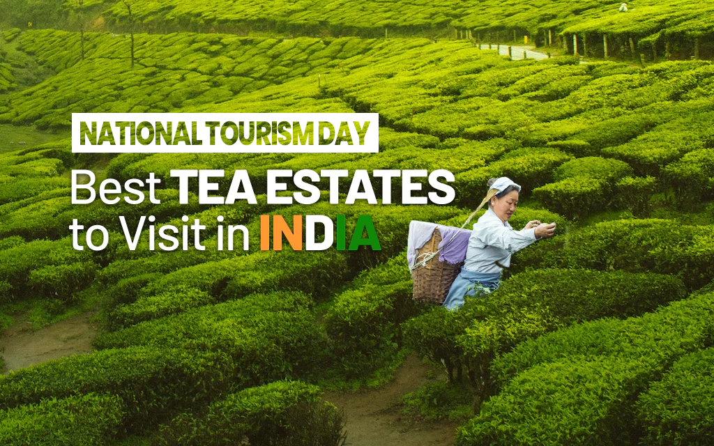 10 Best Tea Plantations to Visit in India