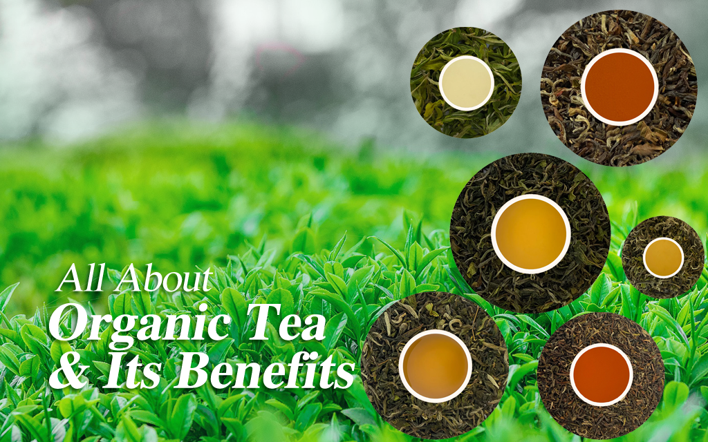 All About Organic Tea & Its Benefits
