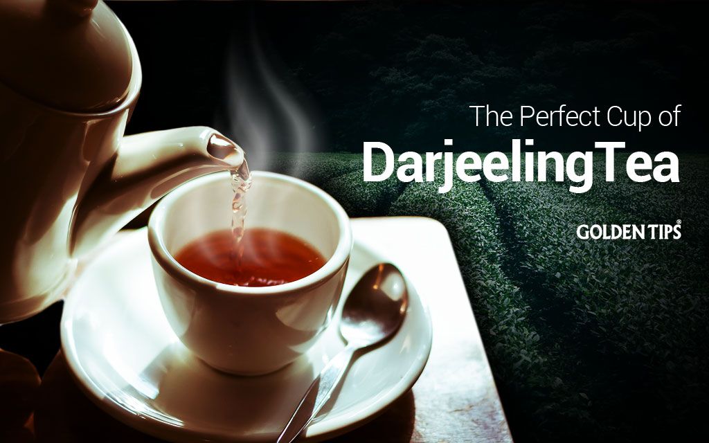 The Perfect Cup of Darjeeling Tea