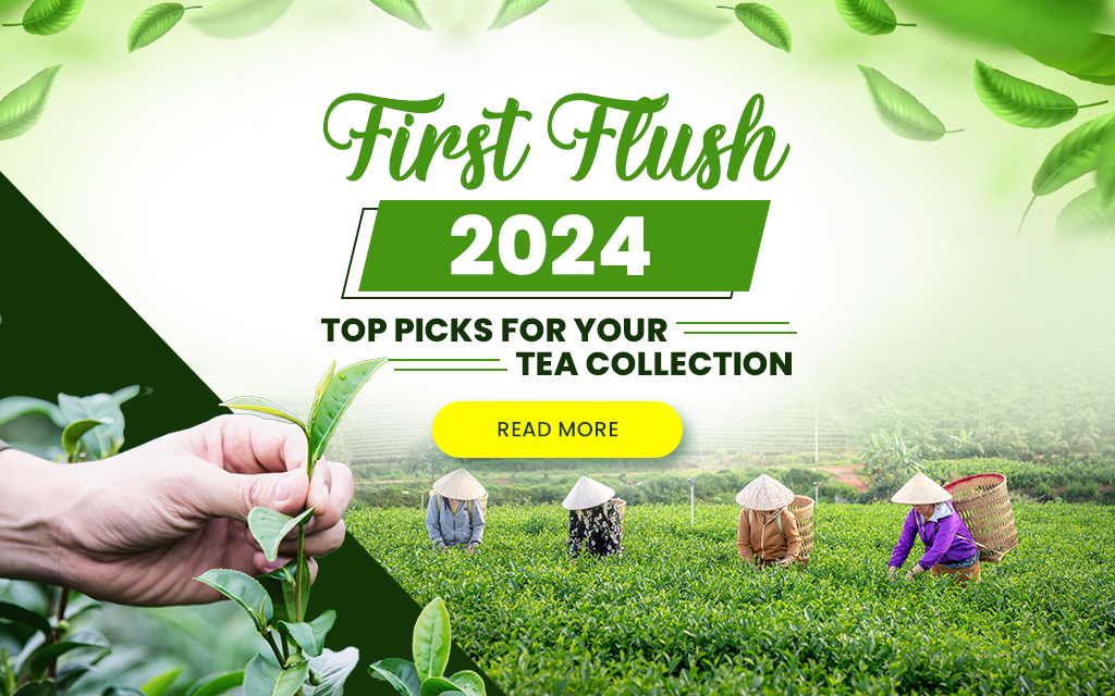 First Flush 2024