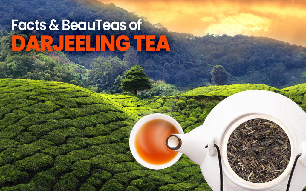 facts & beauteas of darjeeling tea