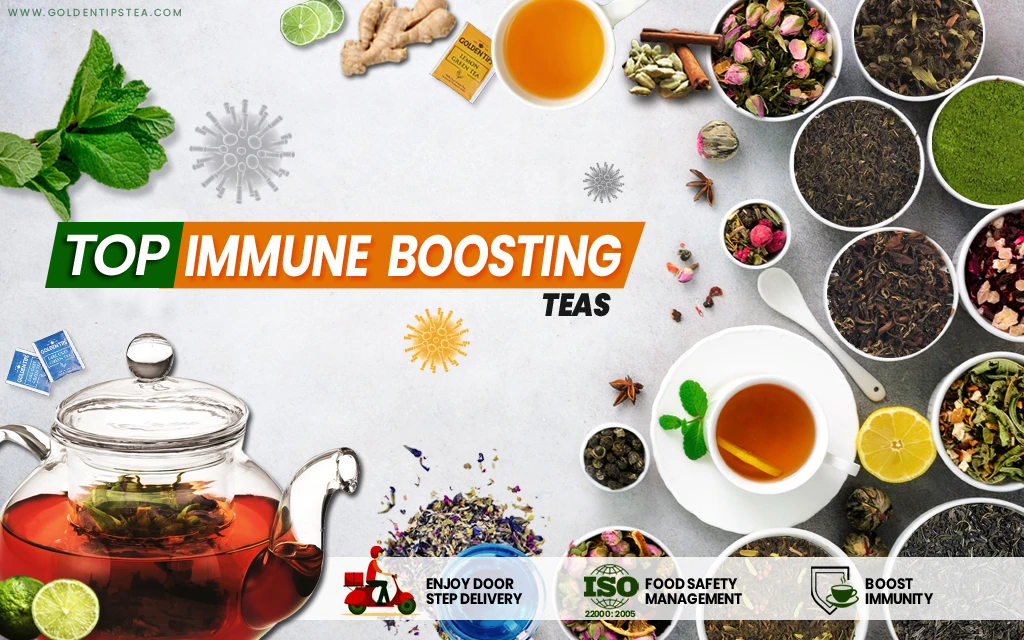 Biggest Collection of High Immunity Teas – Golden Tips Tea (India)
