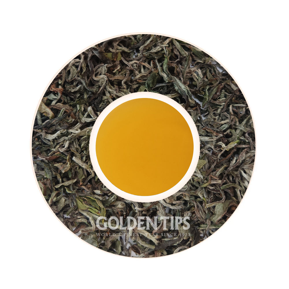 Exclusive Darjeeling White Tea Full Leaf Pyramid Tea Bags