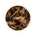 Arya - Summer Diamond Star Organic Darjeeling Black Tea Second Flush 2025