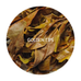 Arya - Spring Flowery Bouquet Super Star Organic Darjeeling Tea First Flush 2026