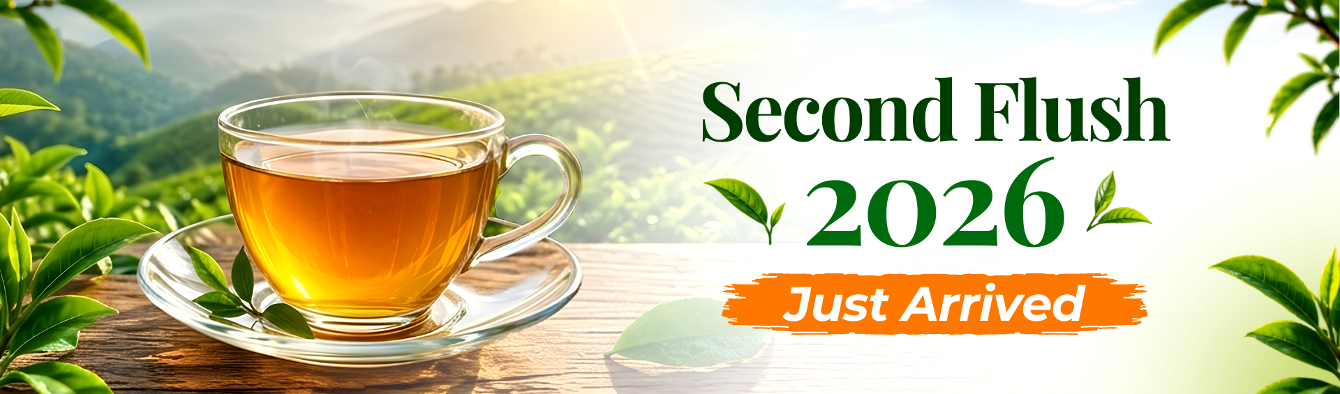 frist flush banner