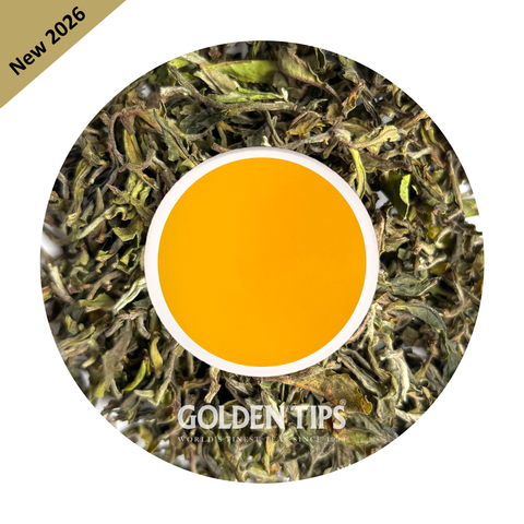 Giddapahar - Spring Hope Darjeeling Tea First Flush 2026