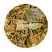 Glenburn - Spring Floral Crest Darjeeling Tea First Flush 2026